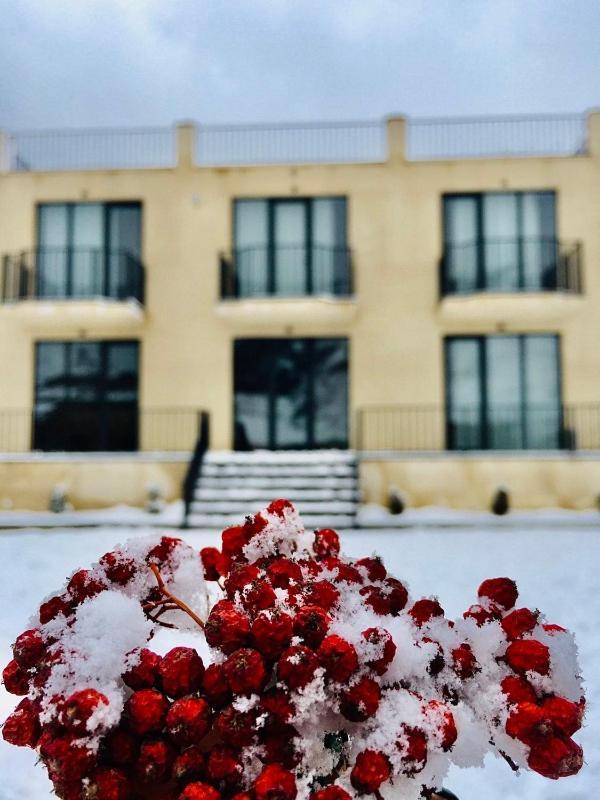 Hotel Horizon Kazbegi Εξωτερικό φωτογραφία